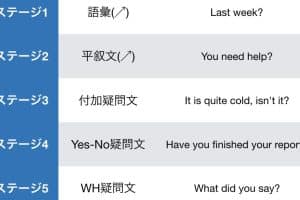 ❓ 日本語の「なぜ」を英語で表現！疑問文の作り方