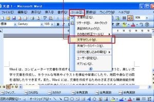 🔢 Word 2010の文字数カウント機能！文書の規模を把握