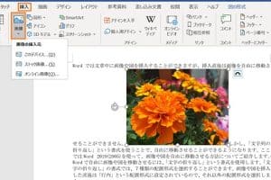 🖼 Word Overlay：Wordで画像を重ねて表示！デザイン性の高い文書作成