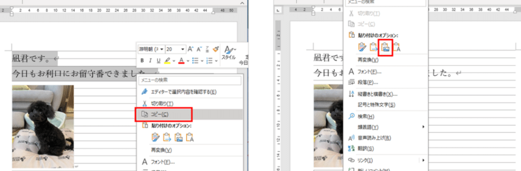 ðŒïž WordææžãJPEGã§ä¿åïŒç»åãšããŠæŽ»çš 5 f09f96bcefb88f worde69687e69bb8e38292jpege381a7e4bf9de5ad98efbc81e794bbe5838fe381a8e38197e381a6e6b4bbe794a8