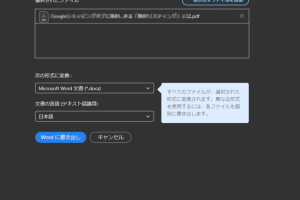 🇻🇳 PDF を Word に変換するソフトウェア：ベトナム語