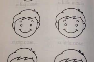 🐜 Little の反対語：英語で表現する「大きい」