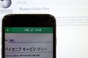 📱 Word Lens アプリをダウンロード!リアルタイム翻訳 9 📱 Word Lens アプリをダウンロード!リアルタイム翻訳