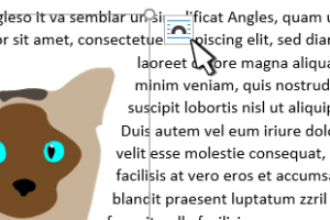 🔤 Wrap Text in Word：画像周りのテキスト配置を自在に！